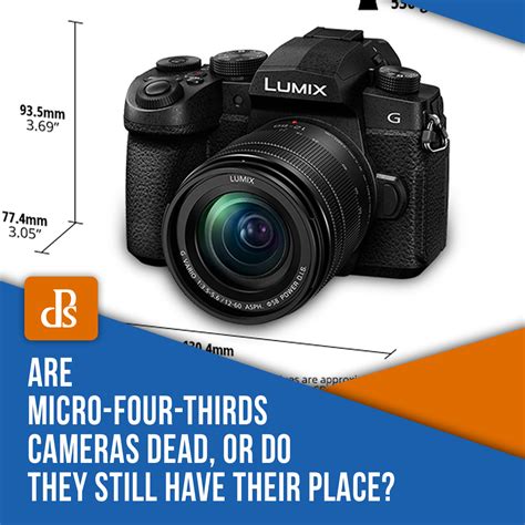 Are Micro-Four-Thirds Cameras Dead, or Do They Still Have Their Place?