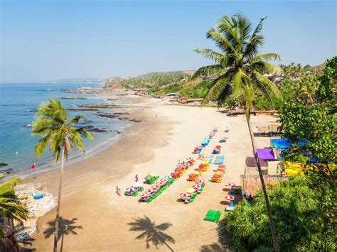 Baga Beach - Goa: Get the Detail of Baga Beach on Times of India Travel