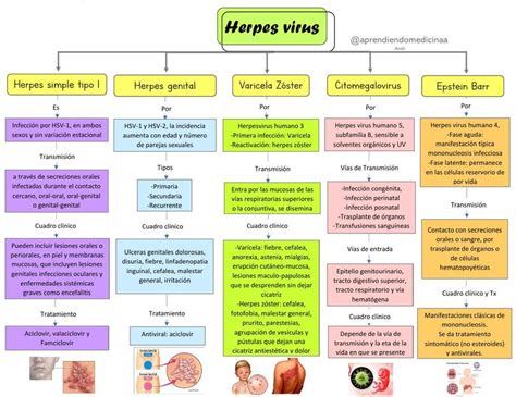 Herpes Virus | Aprendiendo Medicina. | uDocz