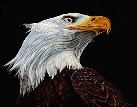 heather lara painting - 2 | Animal paintings, Scratchboard art ...