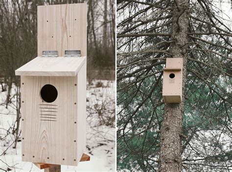 Build a Nest Box | Owl box, Nesting boxes, Bird house plans