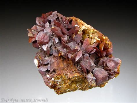 Siderite Mineral Specimen For Sale