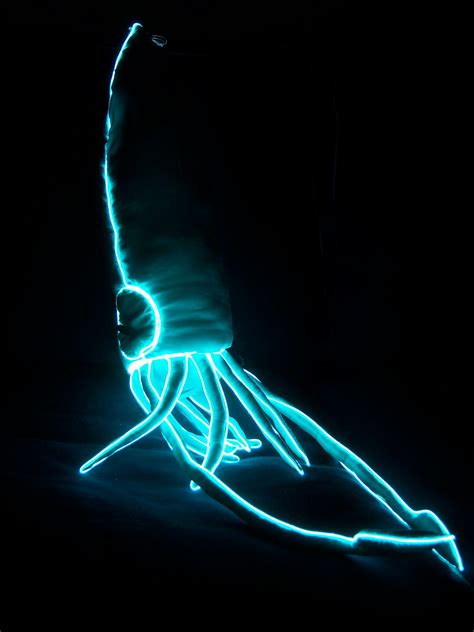 It'll Glow On You: Bioluminescent Giant Squid.