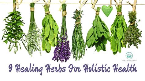 9 Healing Herbs For Your Holistic Health Best Home Remedies