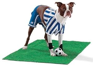 Amazon.com : Dog Soccer Player Costume Small - Pet Halloween Costume ...