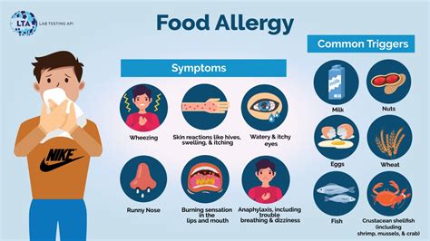 Food Allergy: Causes, Symptoms, Diagnosis, and Treatment | Lab Testing API