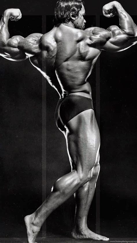 Arnold Schwarzenegger Bodybuilding . Background HD phone wallpaper | Pxfuel