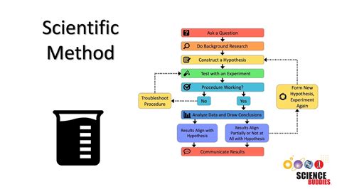 The Scientific Method: Steps and Examples - Go IT