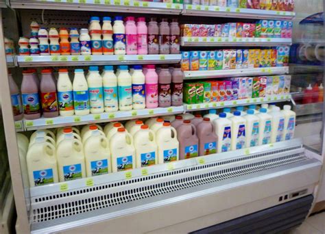 Is it easy to find milk in Laos?