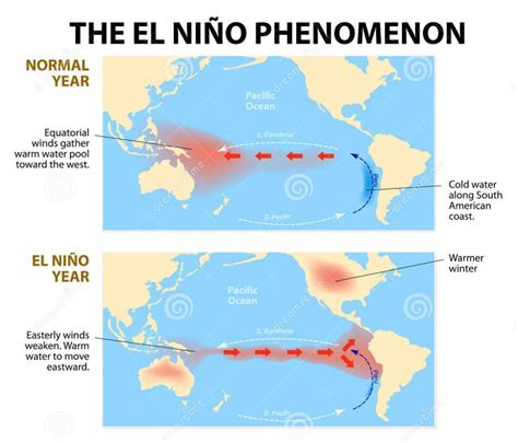 El Nino... a kid actor in the Climate Change - STEAMGreen UNIBO