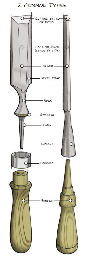 Your Basic Guide to Chisels | Popular Woodworking