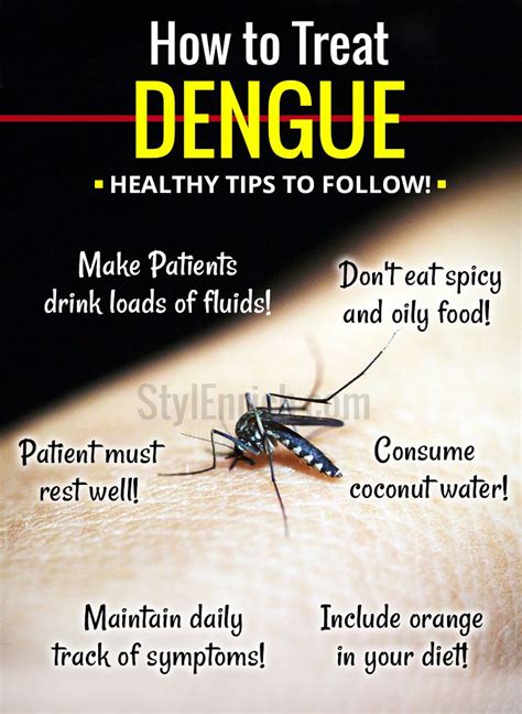 Dengue Fever Treatment : Taking Care and Healthy Tips to Follow!