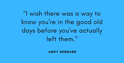 The Funniest Andy Bernard Quotes - AnQuotes.com