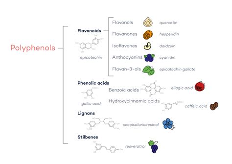 What are polyphenols, antioxidants & oxidative stress? | FutureYou ...