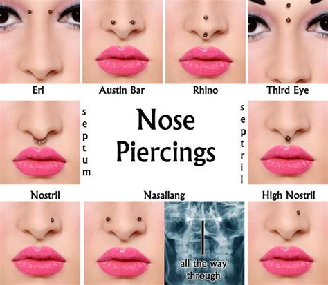 piercings | Different nose piercings, Nose piercing, Piercing chart