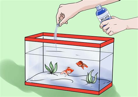 How to Cure Goldfish Dropsy: 4 Steps (with Pictures) - wikiHow