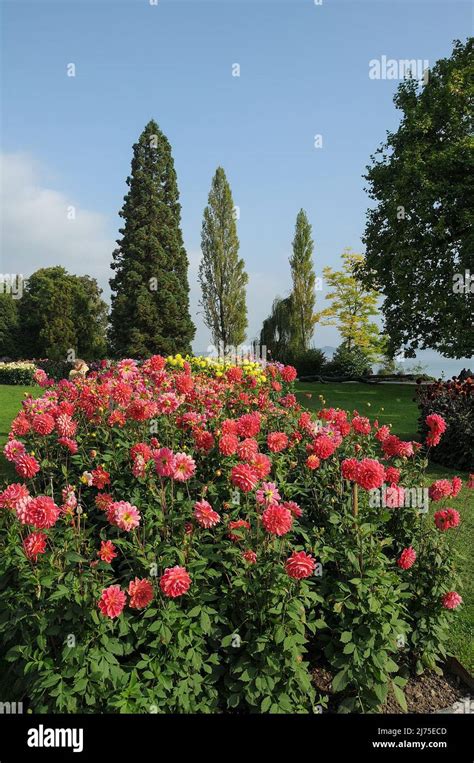 the lake constance in germany Stock Photo - Alamy