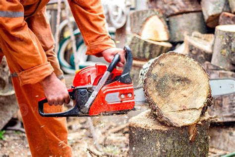 Chainsaw Man Stock Photos, Images and Backgrounds for Free Download