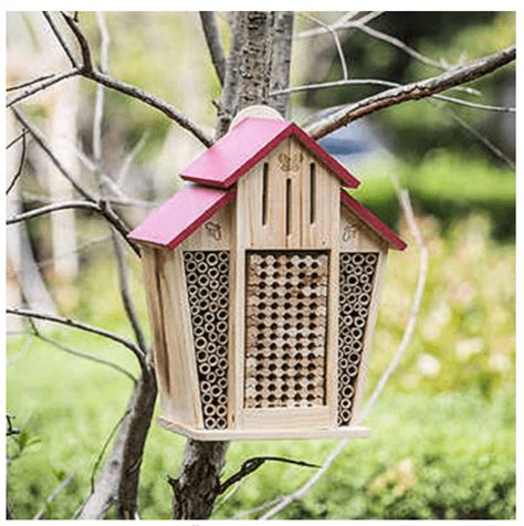 Best Mason Bee Houses for Serious Beekeepers - Gardeners Tool