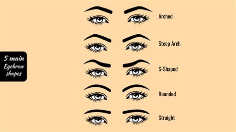 Eyebrow Basics Video Tutorial - FYI