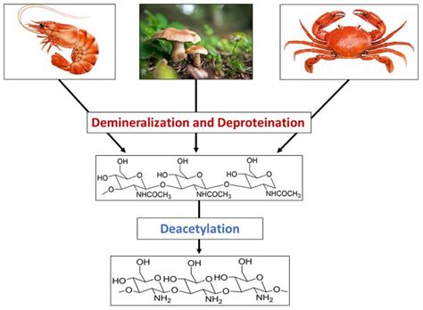 Chitosan-Based Applications | Encyclopedia MDPI