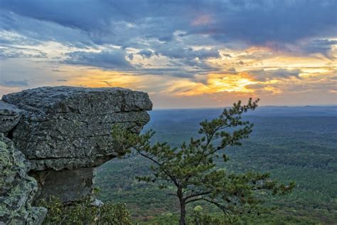 Alabama State Parks to offer free admission and more on Bicentennial ...