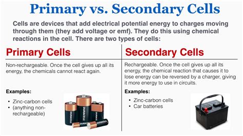 Primary And Secondary Cell Definition Examples Diagrams - Bank2home.com