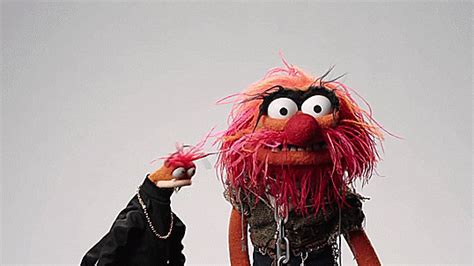 The Muppets Top 5 People Youll Meet At Work GIFs - Find & Share on GIPHY