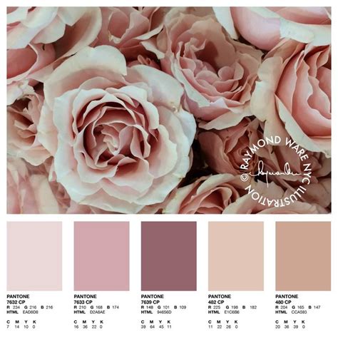 Pantone Perfection Blush Rose Palette | Rose gold color palette, Blush ...