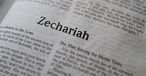 What are the eight visions of Zechariah? - BibleAsk