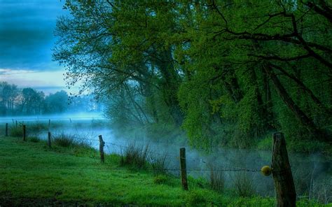 nature, Landscape, Mist, River, Morning, Grass, Trees, Barbed Wire ...