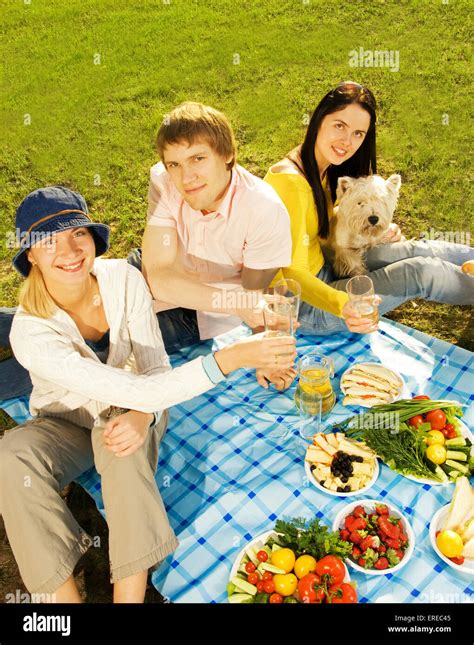 Friends at picnic Stock Photo - Alamy