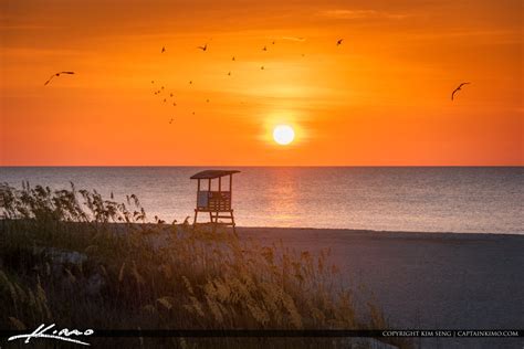 Tybee Island | Product Categories | Royal Stock Photo