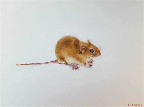 Year of the Mouse - Portrait of White Mouse Painting by Bhavna Misra ...