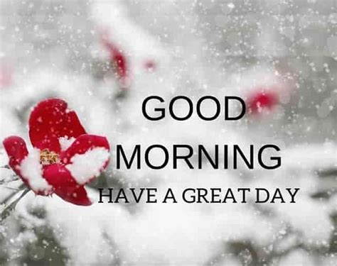 100+ Best Good Morning Winter Images With Quotes - Good Morning