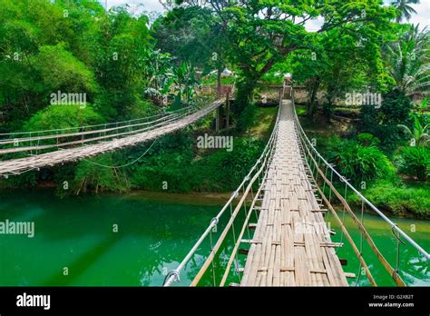 Bamboo hanging bridge over river in tropical forest, Bohol, Philippines ...