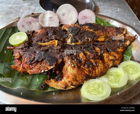 Fish tawa fry Stock Photo - Alamy