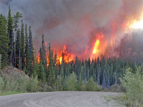 Feux de forêt: les évacuations se poursuivent dans l'ouest du Canada | JDQ