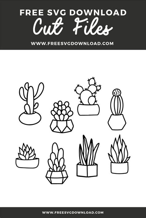 Succulent bundle svg png free cut files – Artofit