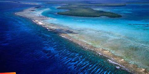 The Belize Barrier Reef Reserve System on Ambergris Caye, Caribbean Diving