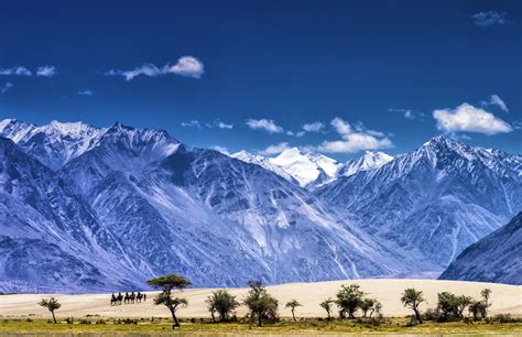 Nubra Valley - Lonely Planet