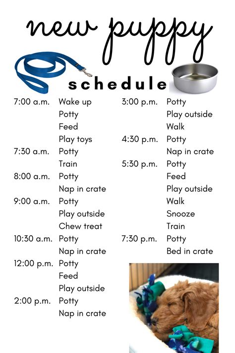 Printable Puppy Schedule