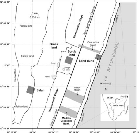 (a) Map showing study site in the Coromandel Coast, south eastern India ...