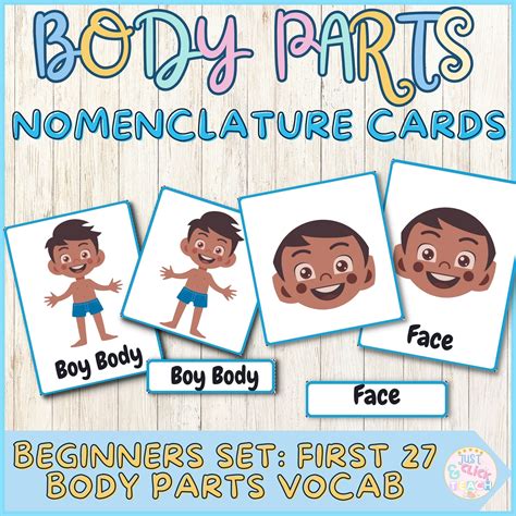 Beginner Nomenclature body parts cards 1 | Body parts flashcards| human ...