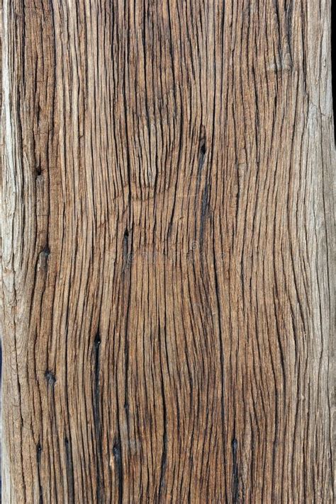 17+ Wood pillar texture Free Stock Photos - StockFreeImages