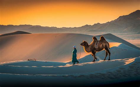 Gobi Desert - Southern Mongolia