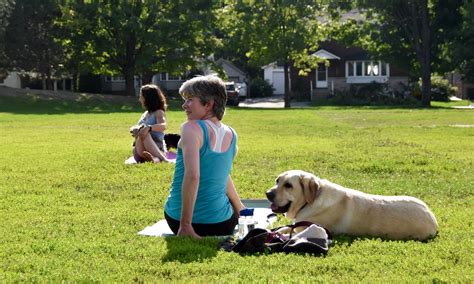 Our dog yoga and dog swim... - Dovercourt Recreation Centre