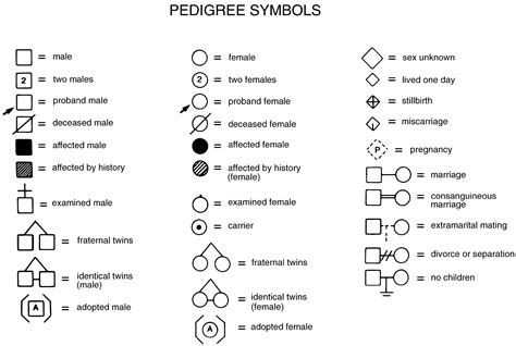 Related image | Pedigree, Family genogram, Genogram template