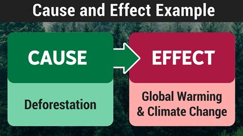 5 Cause and Effect Examples and Explanations — Mashup Math