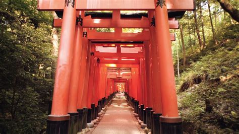 Looking Up At Famous Orange Gates At Fushimi Stock Footage SBV ...